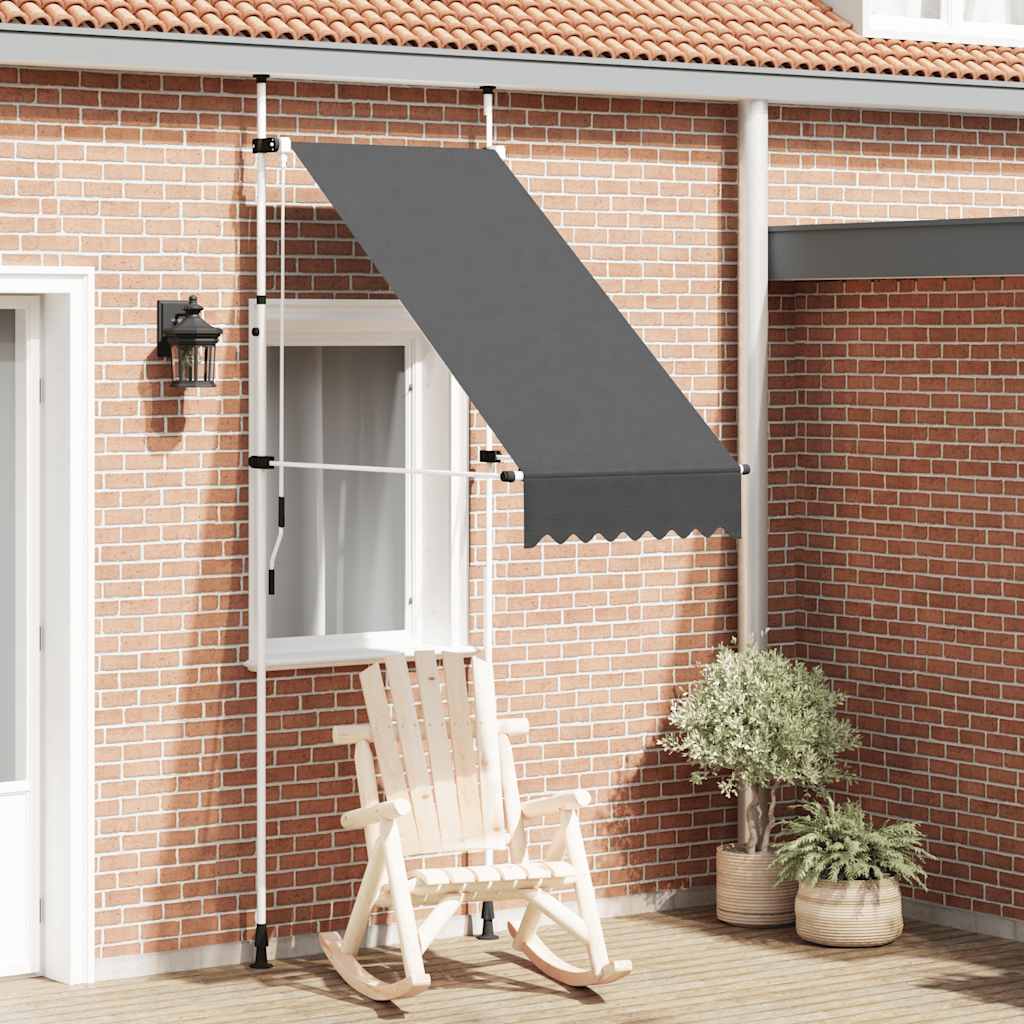Luifel handmatig uittrekbaar 100 cm antraciet