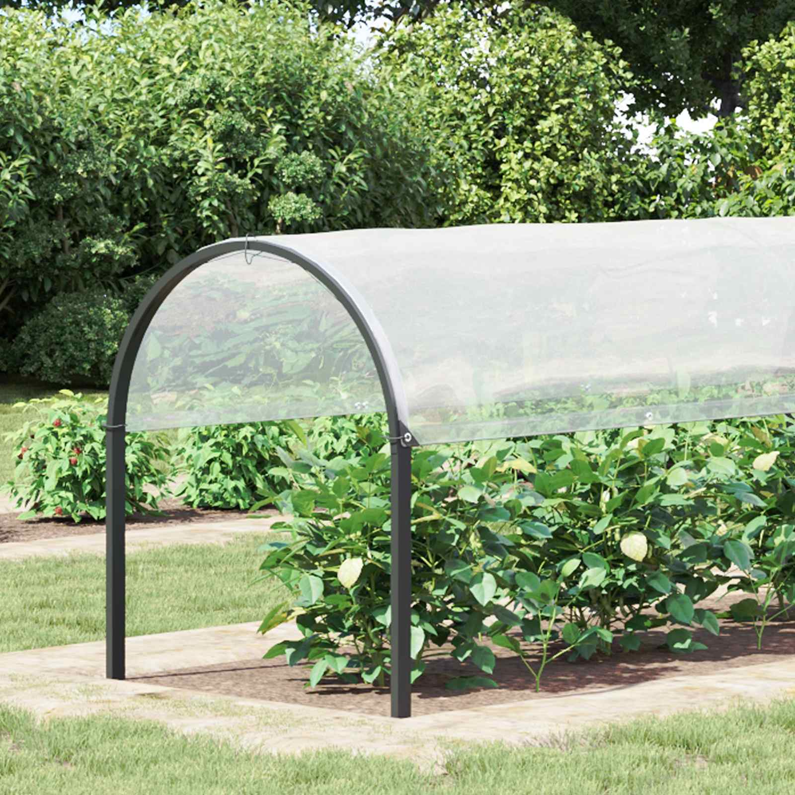 Plantenhoes Doorzichtig 2 x 12 m PE