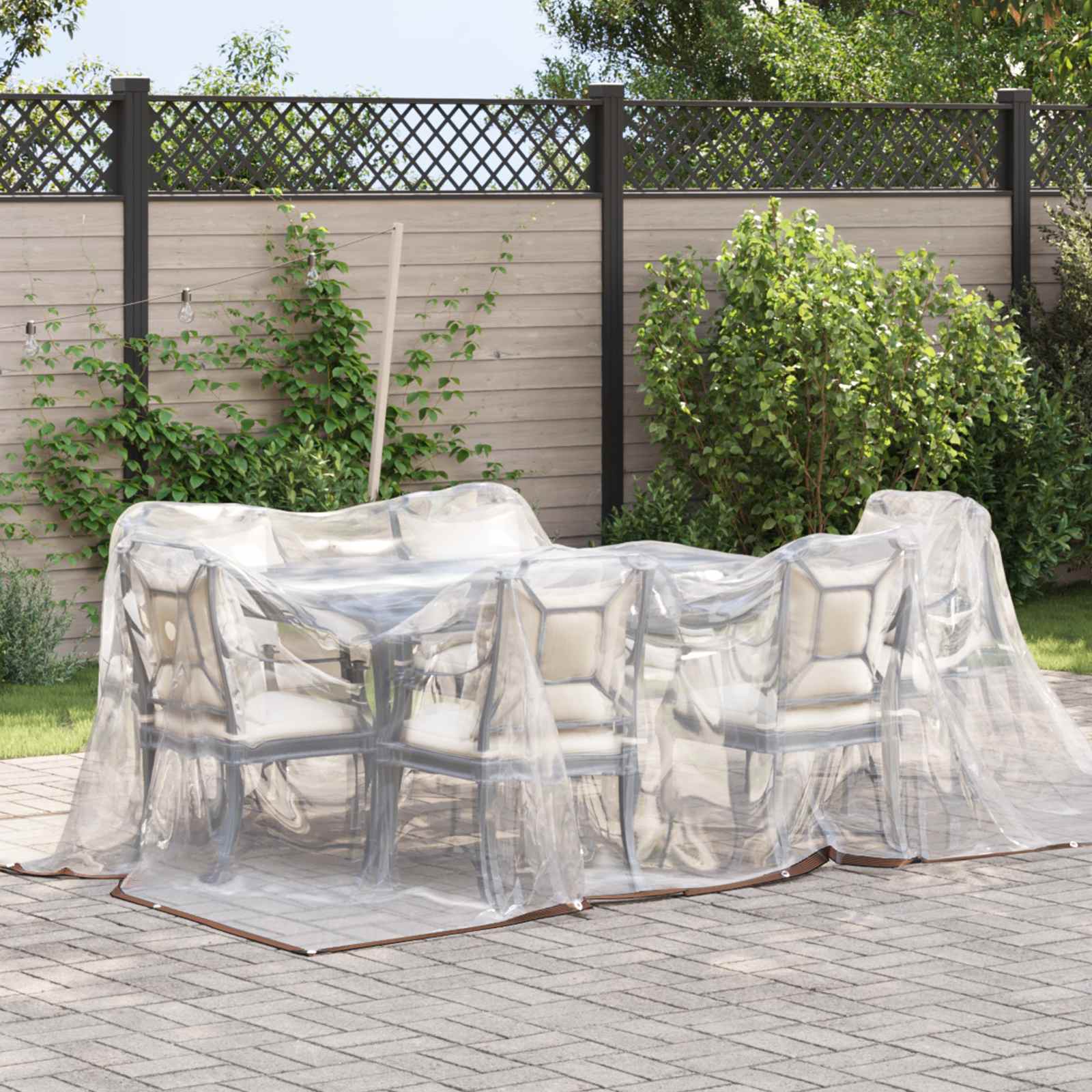 Plantenhoes Doorzichtig 2 x 2 m PE