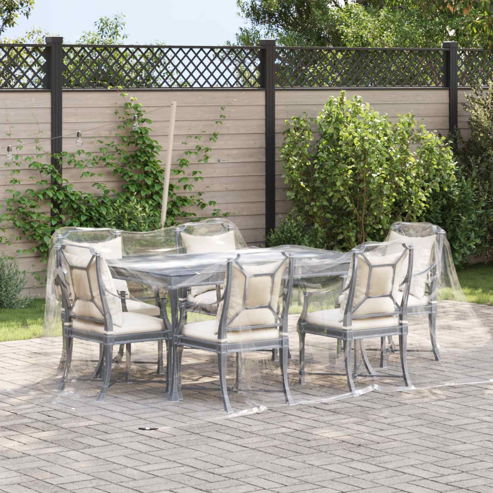 Plantenhoes Doorzichtig 3 x 4 m PVC