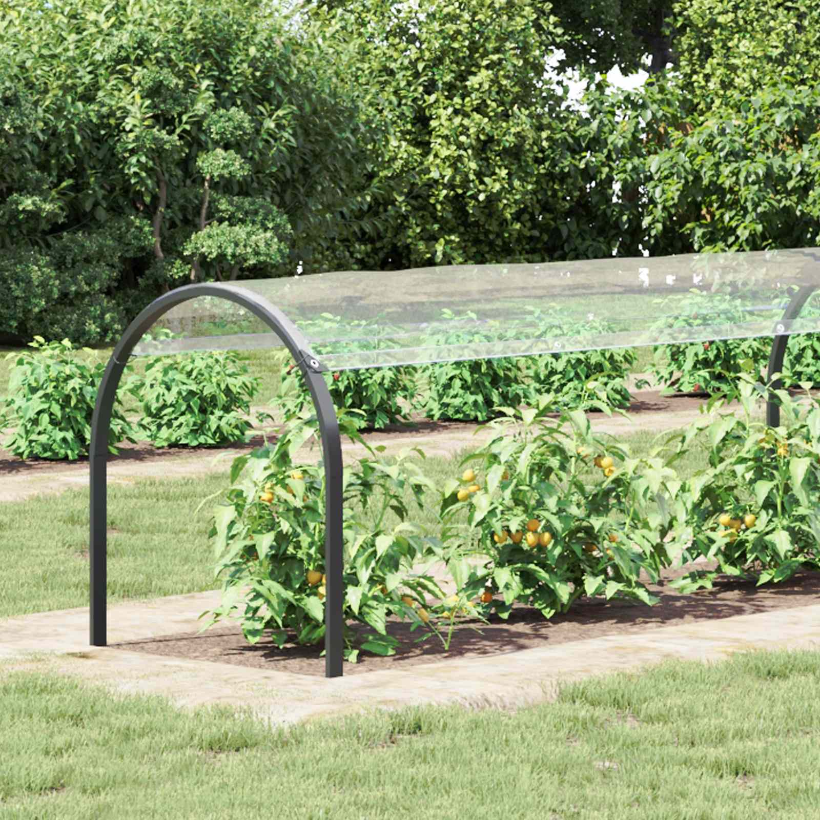 Plantenhoes Doorzichtig 6 x 1,5 m PVC