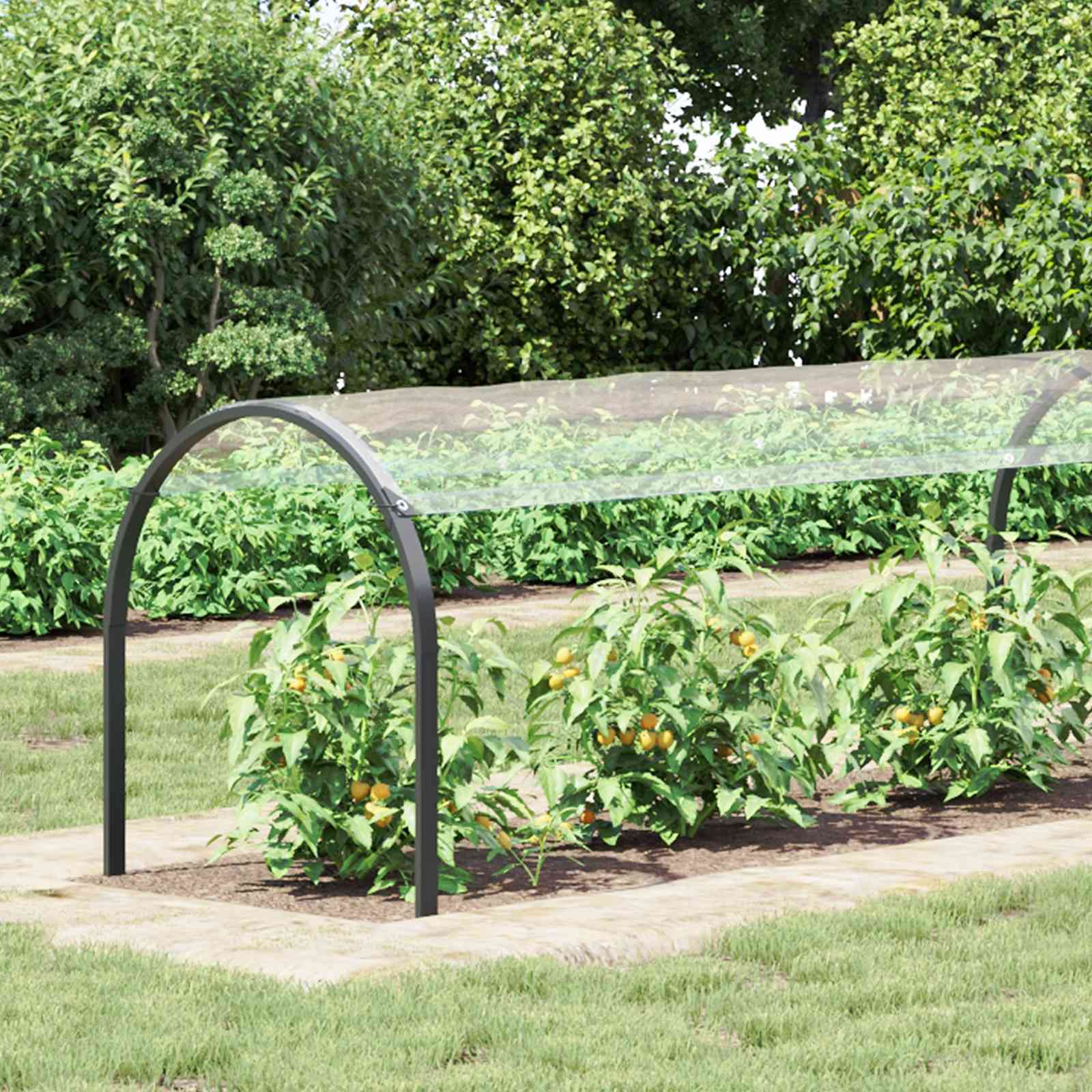 Plantenhoes Doorzichtig 10 x 1,5 m PVC