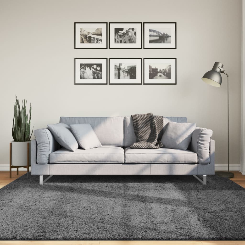 Vloerkleed OVIEDO laagpolig 200x200 cm antracietkleurig