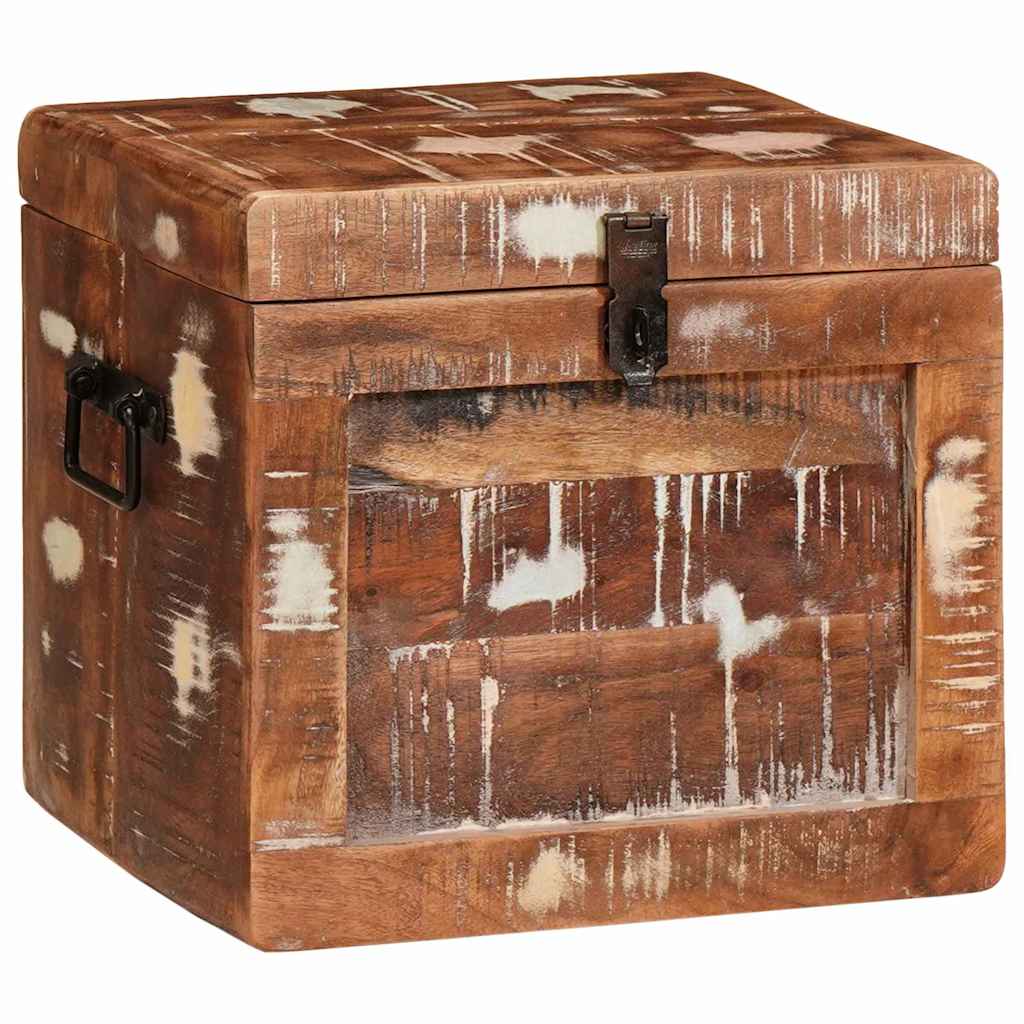 Opbergbox met opslag met de deur Bruin Massief Mango Hout
