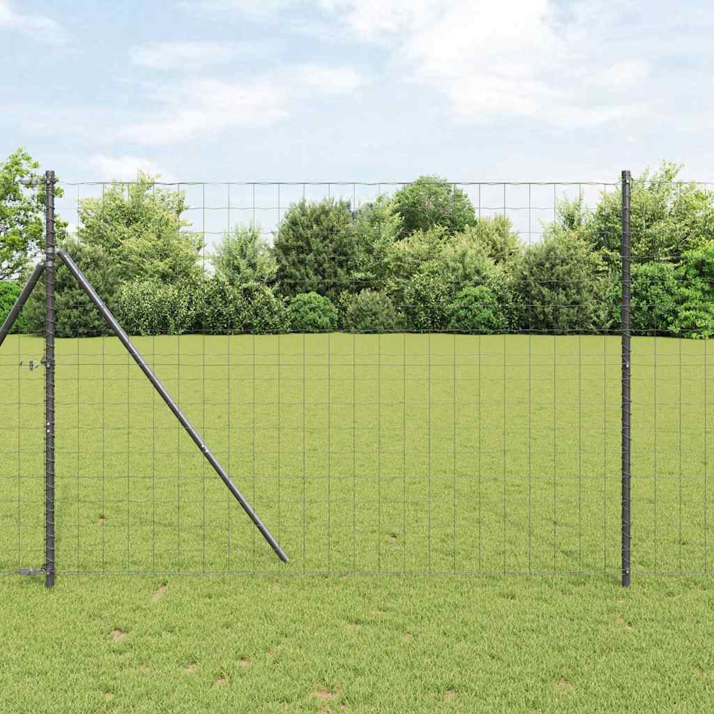 Euro Hek Grijs 1,6 x 10 m PVC-gecoat ijzer – afbeelding 1