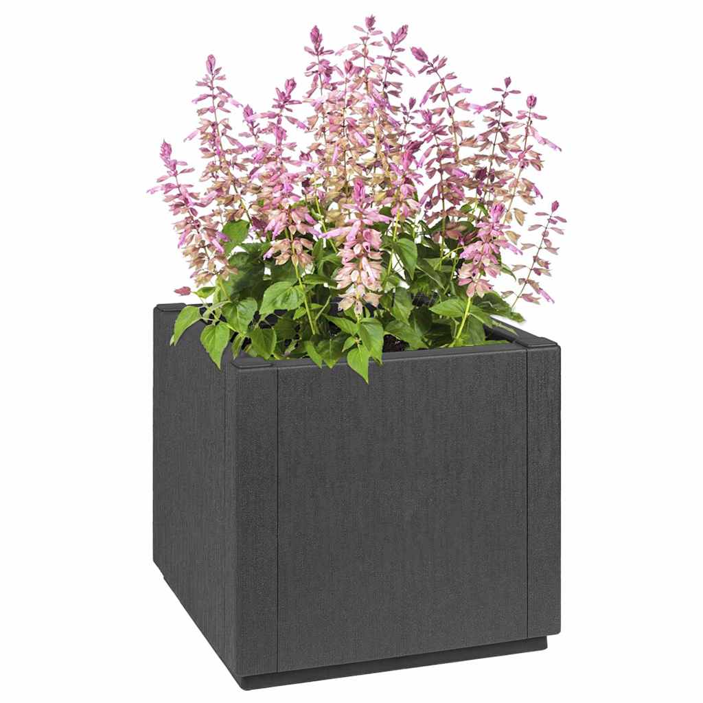 Tuinbloembak Donkergrijs 36 x 36 x 35 cm PP – afbeelding 2