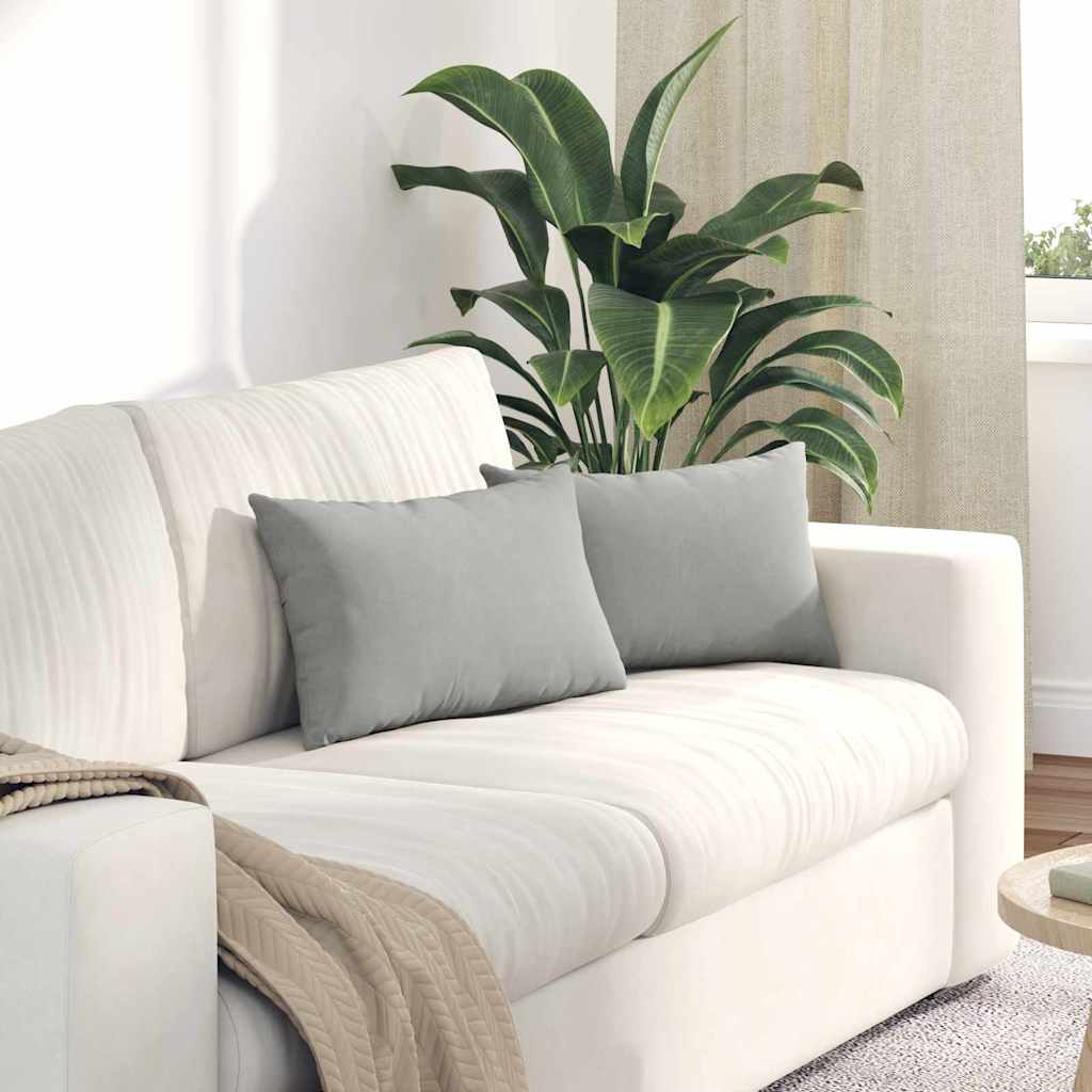 Sofa Kussens 2 stuks Lichtgrijs 50 x 30 cm Stof