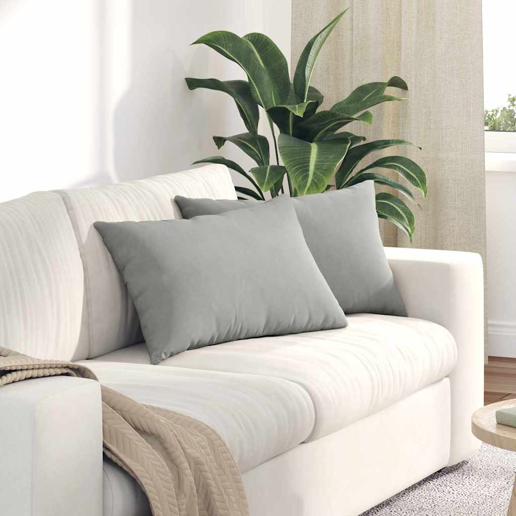 Sofa Kussens 2 stuks Lichtgrijs 60 x 40 cm Stof