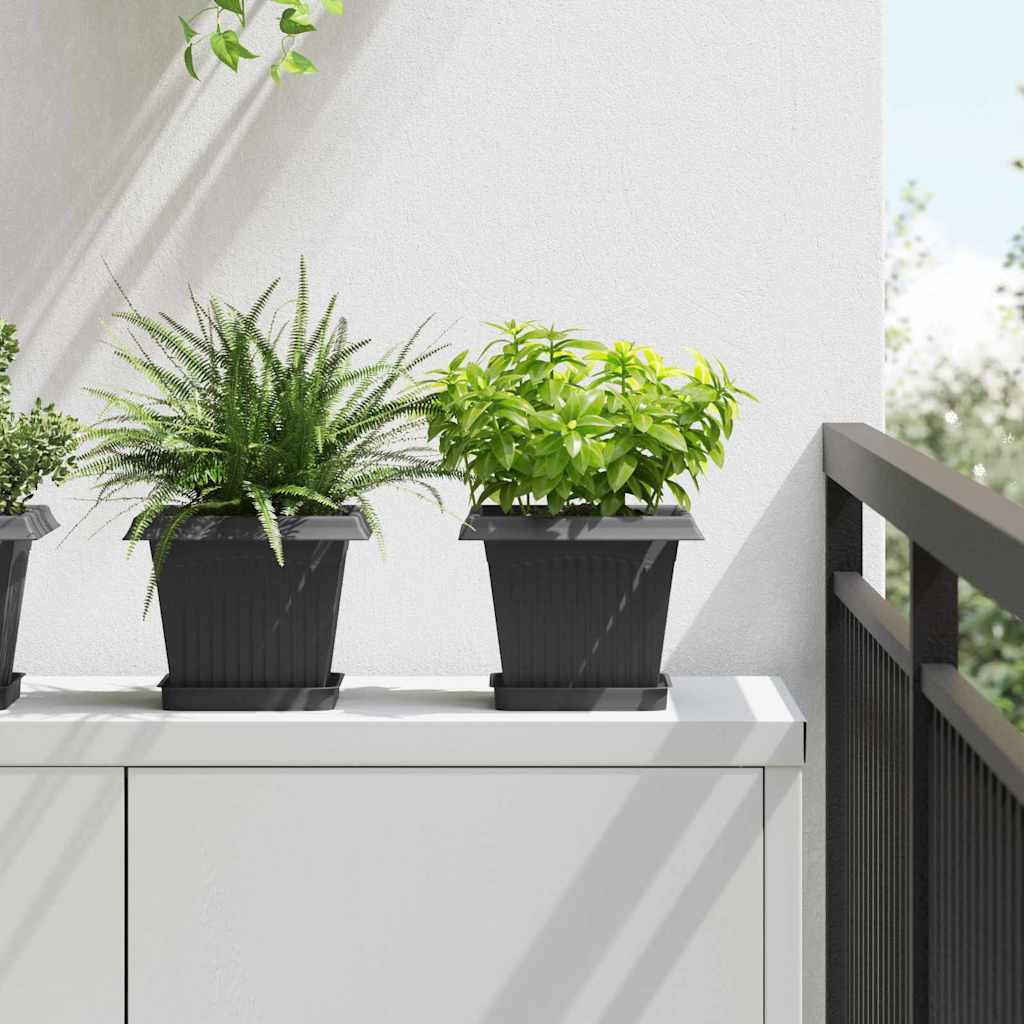 Vierkante Bloemenschotel 6 pcs Zwart 15 x 15 x 2 cm Kunststof – afbeelding 1