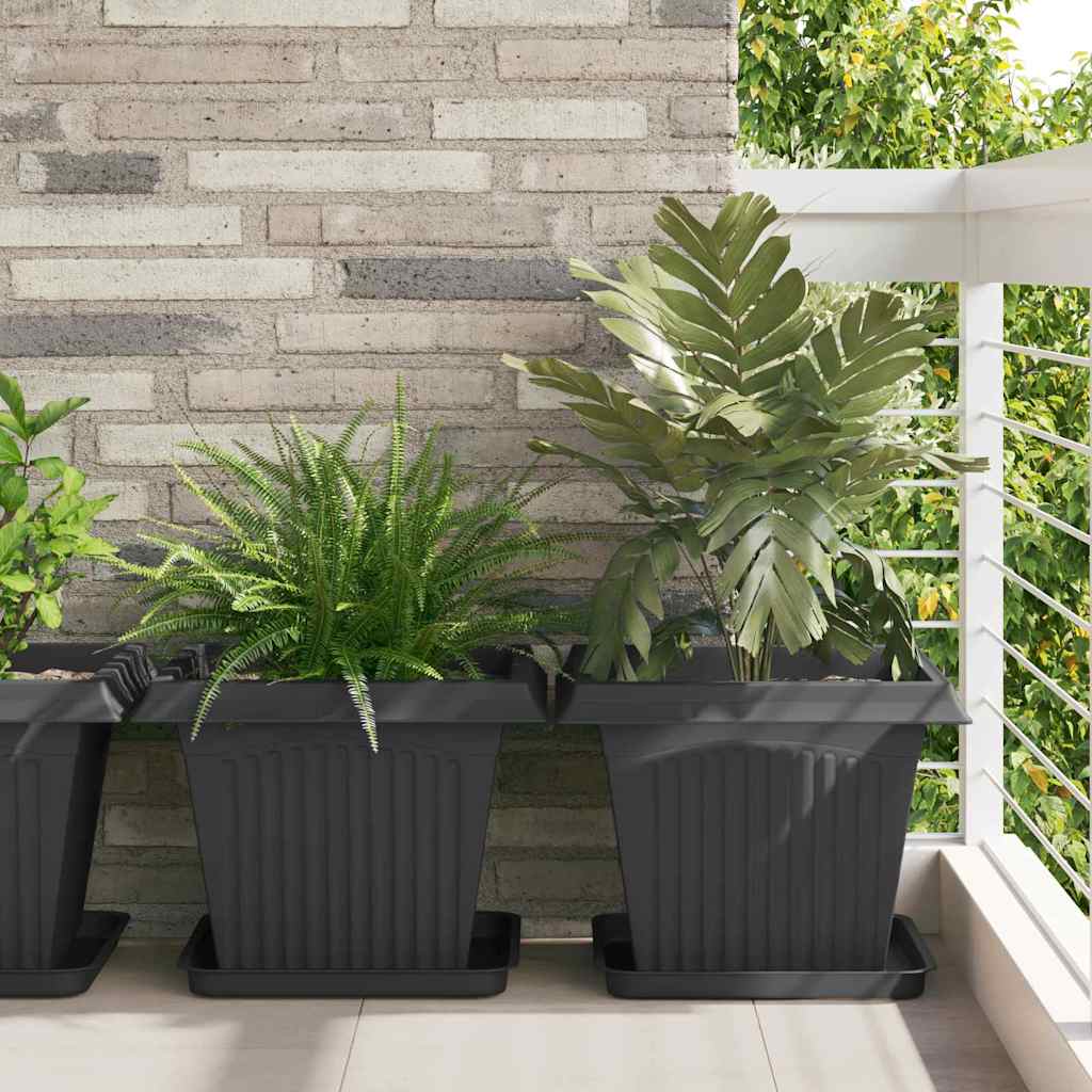 Vierkante Bloemenschotel 24 pcs Zwart 36 x 36 x 2.5 cm – afbeelding 1