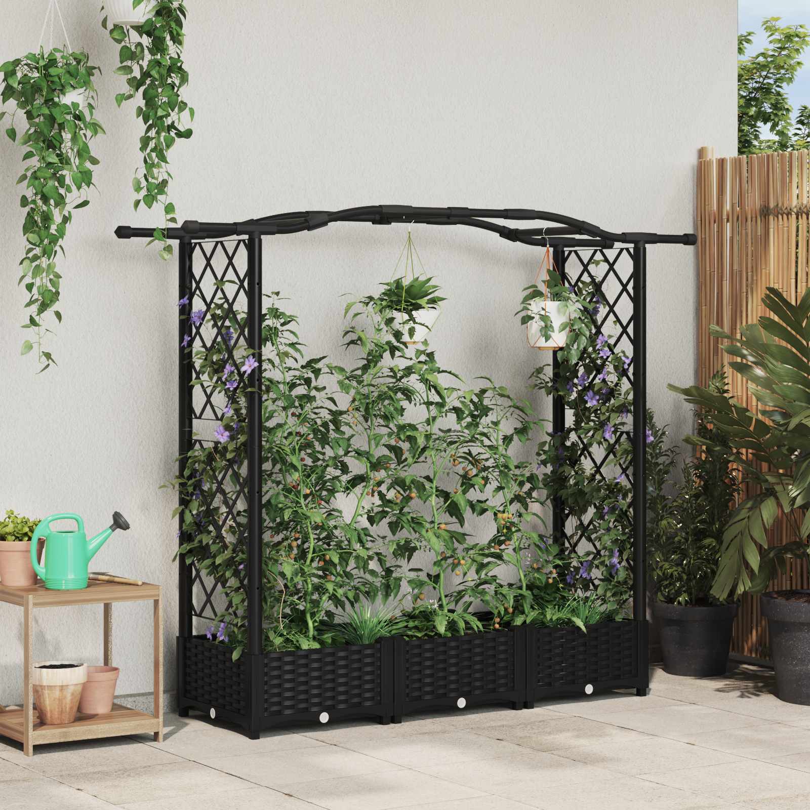Verhoogd Bed met Trellis en Dak Zwart 169 x 40 x 123 cm PP