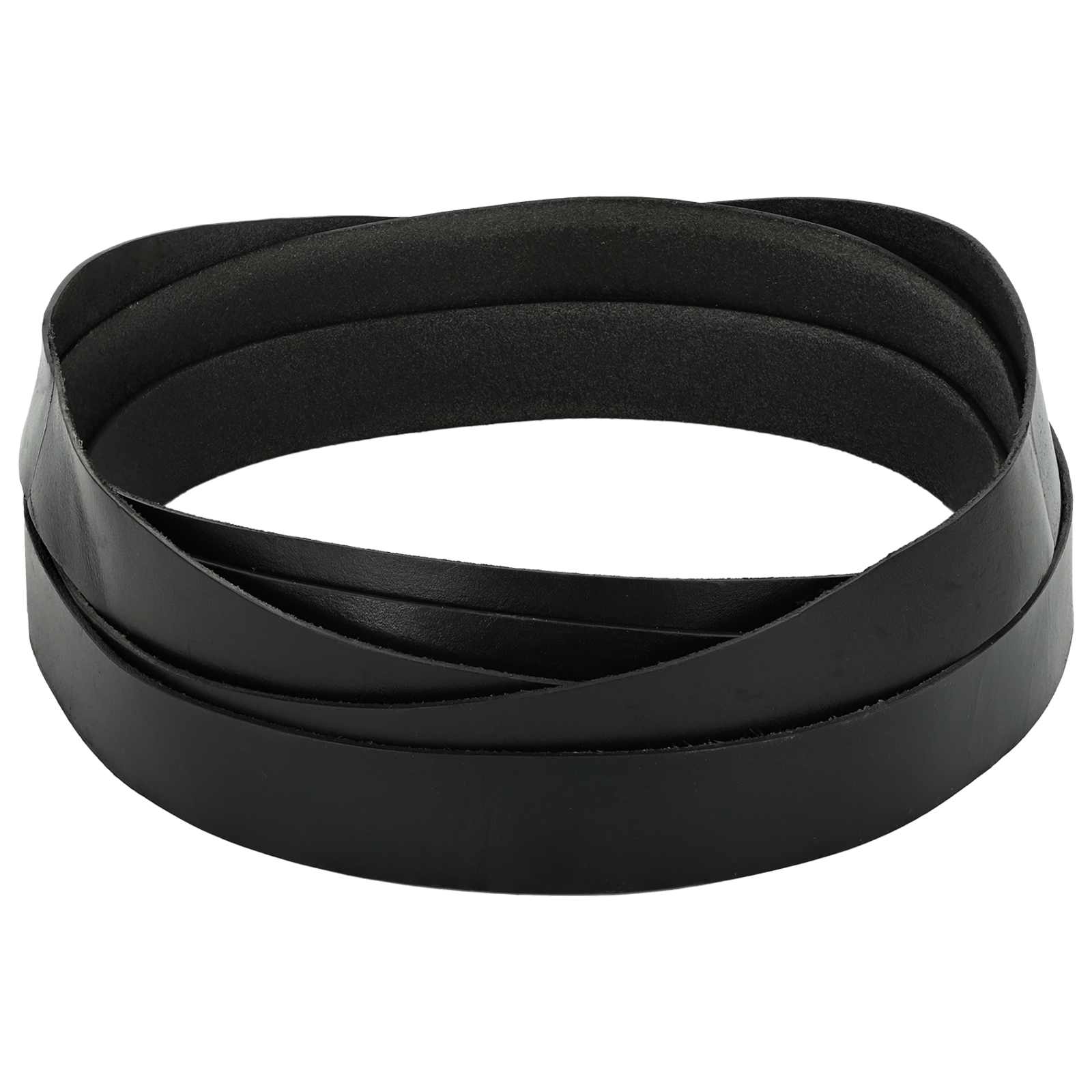 Leren Strap Zwart 1000 x 2,5 cm Leer