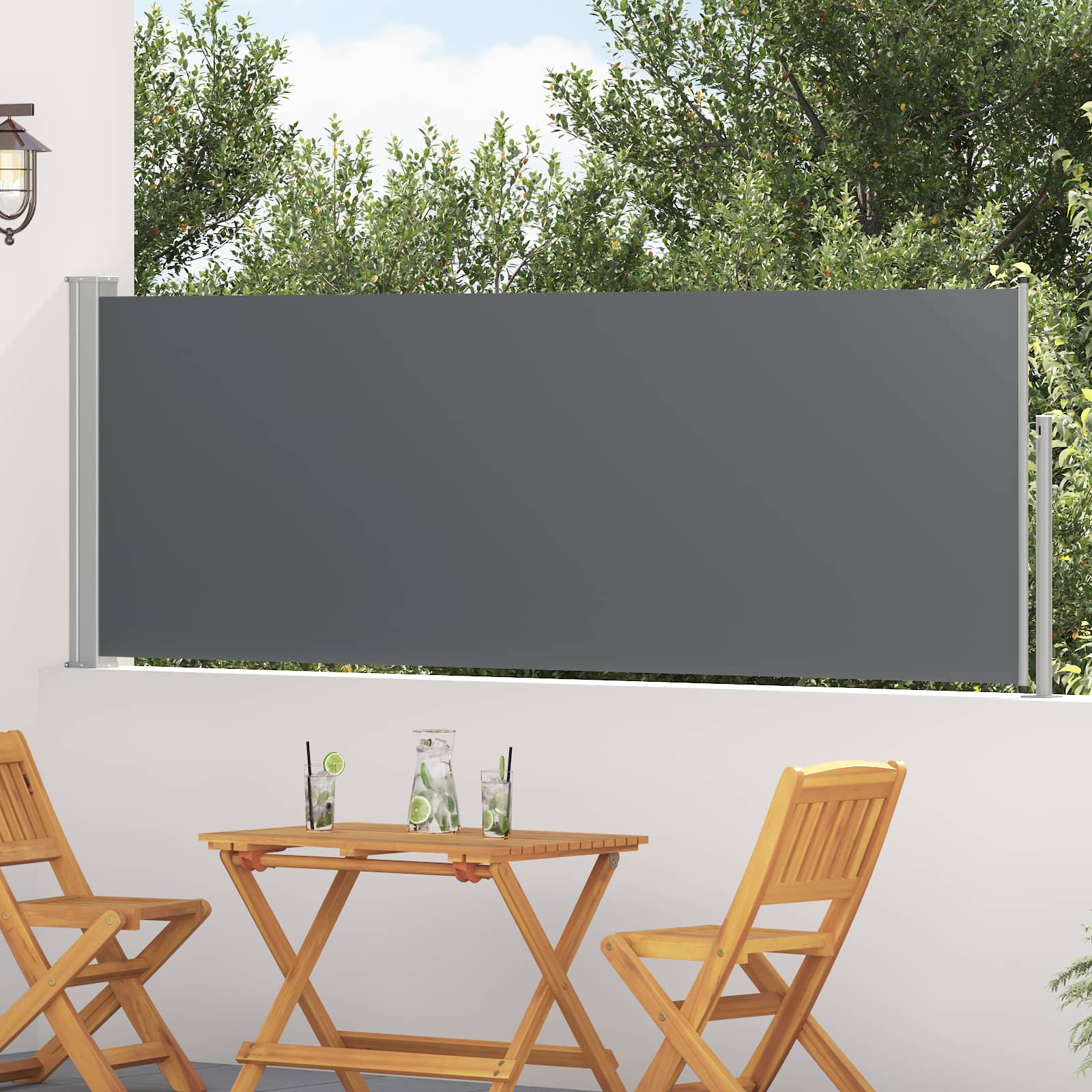 Uittrekbaar Zijscherm Antracietkleurig 300 x 100 cm Polyester – afbeelding 1