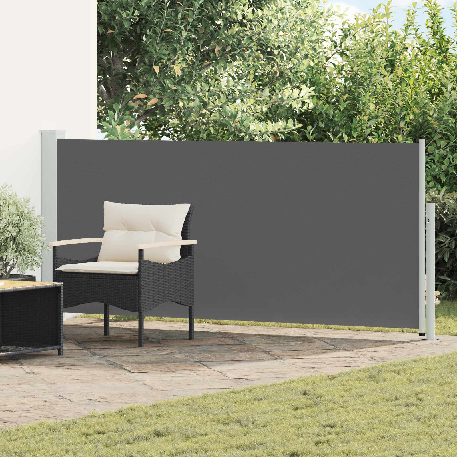 Uittrekbaar Zijscherm Antracietkleurig 300 x 120 cm Polyester