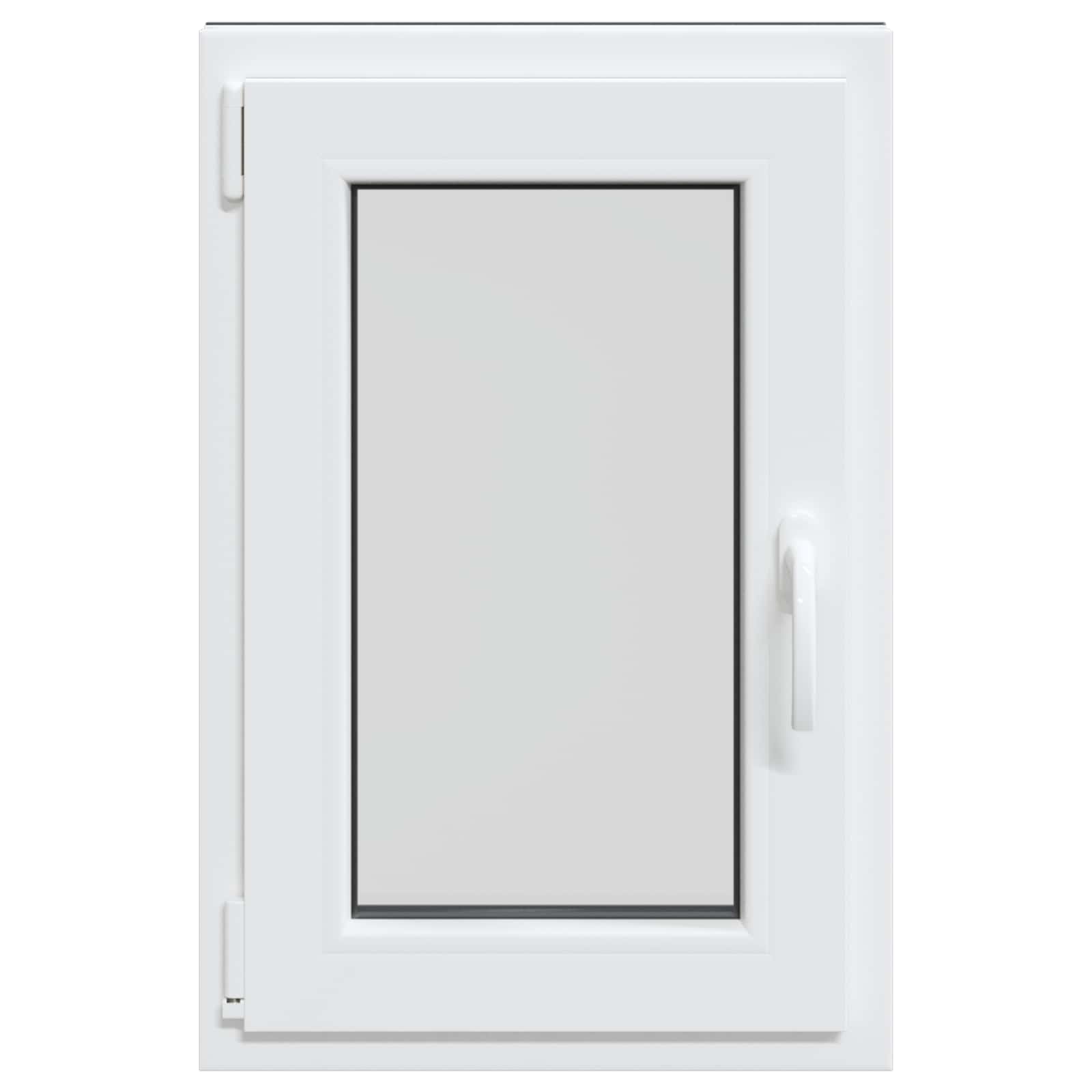 Kelderraam RISOR 50 x 75 cm PVC en glas Antracietkleurig – afbeelding 4