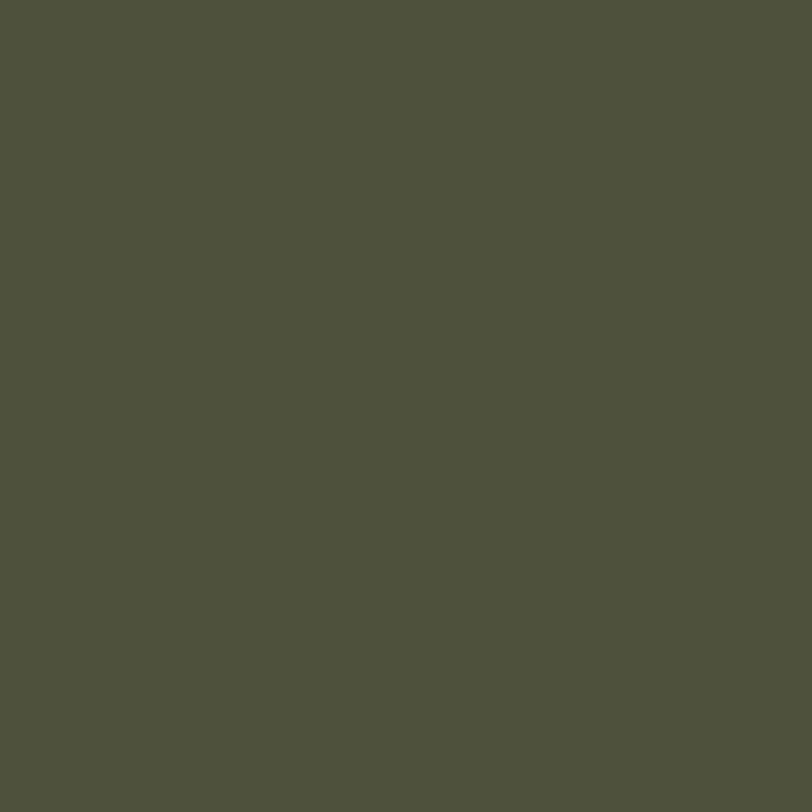 Tuin Privacy Screen Olijfgroen 50 x 140 cm Koudgewalst staal – afbeelding 9